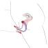 You2Toys - Divaricatore vaginale Intimate Spreader