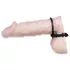 You2Toys - anello pene e testicoli - metallo