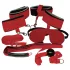 Bad Kitty - set BDSM - rosso