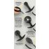 You2Toys - plug anale a pompa con sfere (nero)