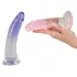 You2Toys - strap-on con dildo doppio - set con 2 falli