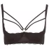 Cottelli Plus Size - reggiseno sollevaseno con spalline e anelli - nero - 95D