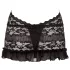 Cottelli - Abito mini in pizzo con collo - nero - XL