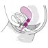 Fun Factory Smartballs Duo - palline vaginali con sfera interna (viola)