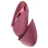 Womanizer Next Liberty - stimolatore clitorideo ad onde d’aria (rosso)