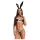 Obsessive Night Bunny - costume da coniglietta a quattro pezzi per donna (nero)