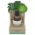 Coconutoil - Olio post depilazione e rasatura bio - 50ml