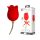 Amante Rosa Love - Vibratore 2in1 con Lingua (Rosso)