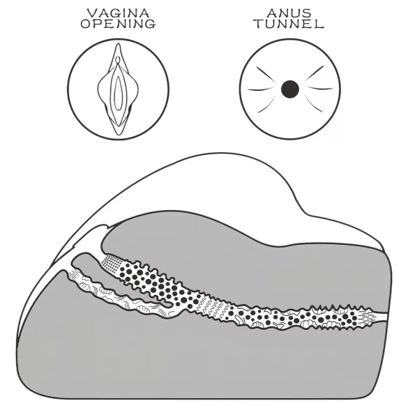 Lovetoy Streetgirl's - masturbatore femminile e anale - torso realistico