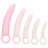 CalExotics Inspire - set dilatatori vaginali medici - silicone rosa