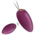 Engily Ross Garland - Uovo Vibrante (Viola)