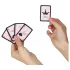 Secret Play Pocket Kamasutra - mazzo di carte con posizioni sessuali (54 carte)