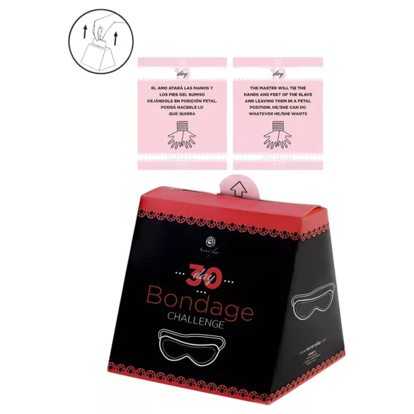 Secret Play Sfida Bondage di 30 Giorni - gioco di carte della sfida bondage (inglese, spagnolo)
