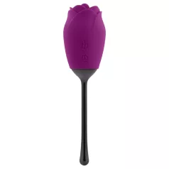   Playboy - vibratore clitorideo lingua ricaricabile impermeabile silicone viola