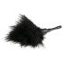 Easytoys - carezza con piuma - piccolo (nero)