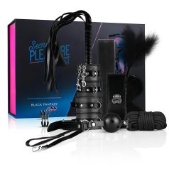 Secret Pleasure Chest - kit BDSM avanzato - 14 pezzi (nero)