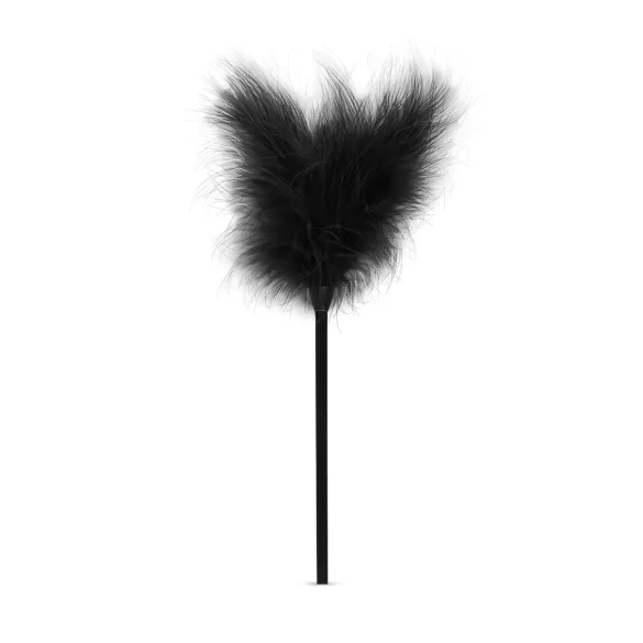 Secret Pleasure Chest - kit BDSM avanzato - 14 pezzi - nero