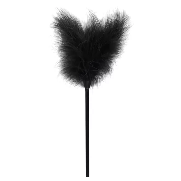 Cofanetto Secret Pleasure - kit BDSM avanzato - 14 pezzi (nero)