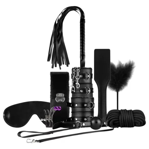 Cofanetto Secret Pleasure - kit BDSM avanzato - 14 pezzi (nero)