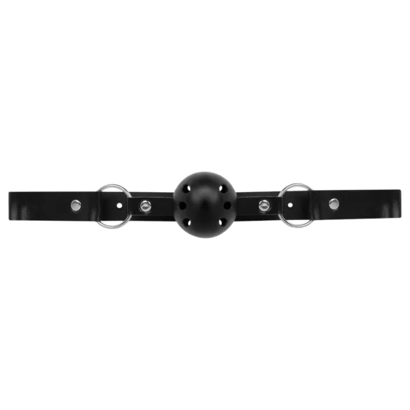 Cofanetto Secret Pleasure - kit BDSM avanzato - 14 pezzi (nero)