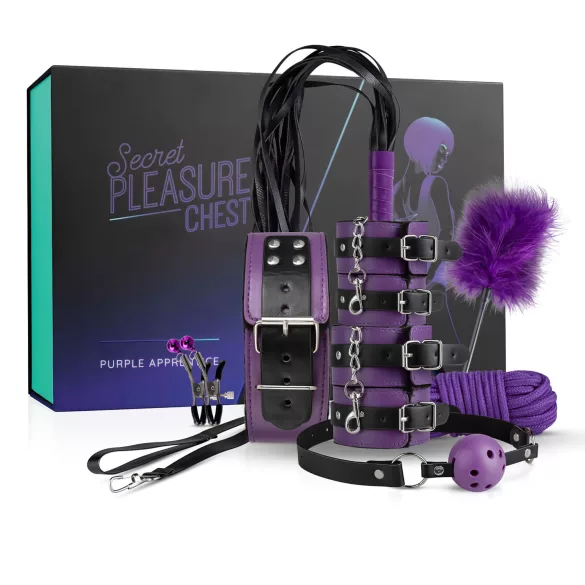 Secret Pleasure Chest - kit BDSM avanzato 14 pezzi