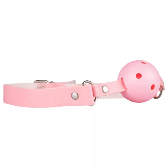 Secret Pleasure Chest - kit BDSM avanzato - 14 pezzi (rosa)