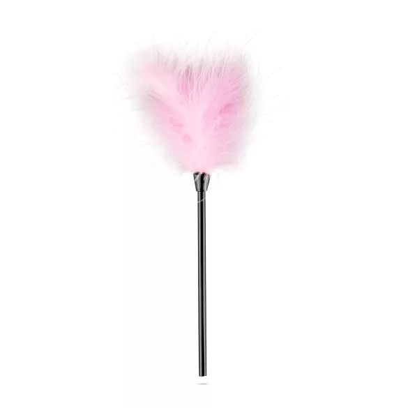 Secret Pleasure Chest - kit BDSM avanzato - 14 pezzi - rosa