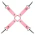 Secret Pleasure Chest - kit BDSM avanzato - 14 pezzi (rosa)