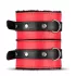 Secret Pleasure Chest - kit BDSM avanzato - 10 pezzi (rosso)