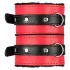 Secret Pleasure Chest - kit BDSM avanzato - 10 pezzi (rosso)