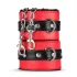 Secret Pleasure Chest - kit BDSM avanzato - 10 pezzi (rosso)