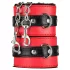 Secret Pleasure Chest - kit BDSM avanzato - 10 pezzi (rosso)