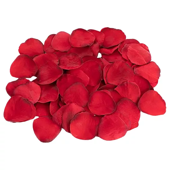 Dreamtoys Amour - set di vibratore indossabile con slip (rosso)