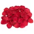 Dreamtoys Amour - set di vibratore indossabile con slip (rosso)