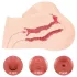 Kokos Maria - realistico torso con vagina e ano finti (color carne)