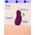 Dame Pom - vibratore clitorideo ricaricabile (viola)