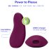 Dame Pom - vibratore clitorideo ricaricabile (viola)
