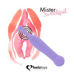   Maestro Intimo del Punto di Piacere - Vibratore clitorideo ricaricabile e impermeabile (viola)