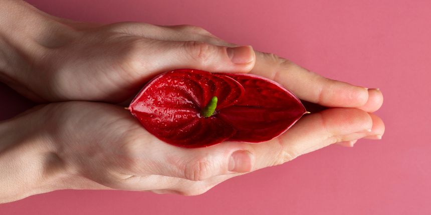 Stimolazione clitoride con un sex toy discreto, lovesexshop.it Sex Shop